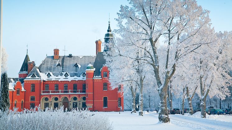 Lejondals Slott i vinterskrud