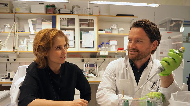 Anna Blom och Ben C King har upptäckt att proteinet C3 skyddar insulinproducerande celler. Foto: Rebecca Rosberg 