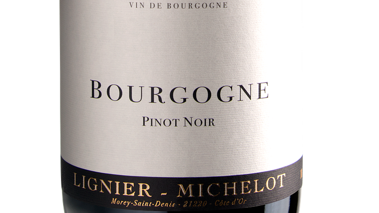 Bourgogne Rouge Pinot Noir 2016 