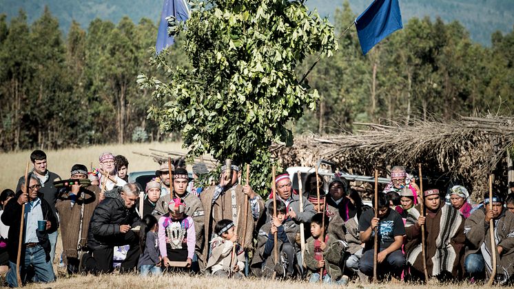 Vino Tayu Ceremonia Mapuche 08.jpg