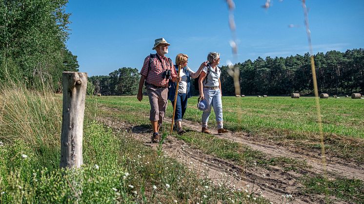 Sandweg nördlich der Naturparkstadt Biesenthal / Foto: Frank Günther