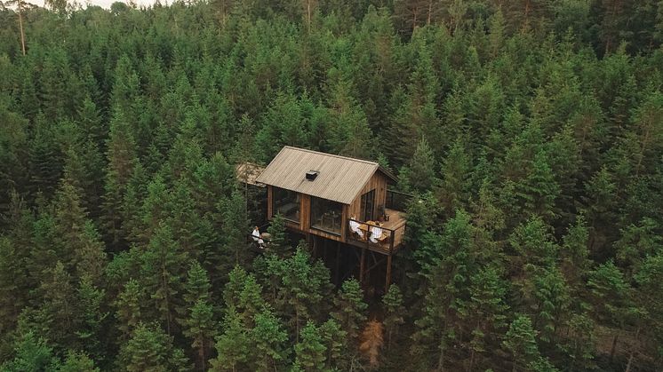 Hyssna Forest Resort - Treetop Cabin Foto_ Hyssna Forest Resort 6.jpg