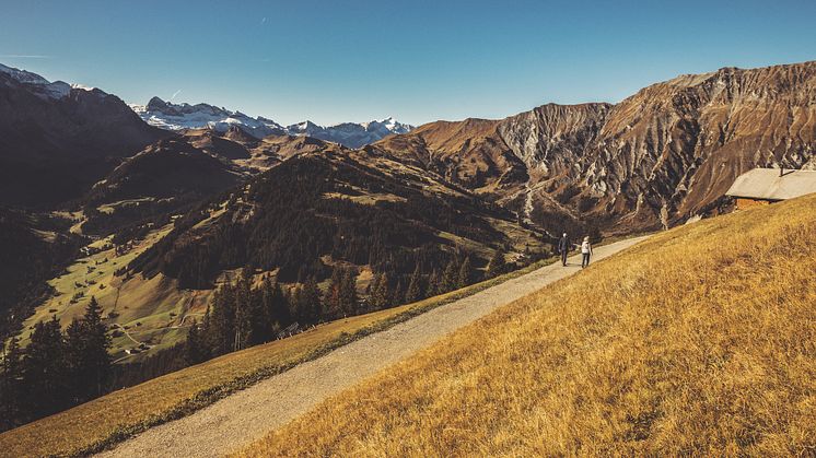 Berner Oberland: Wandern Tschentenalp