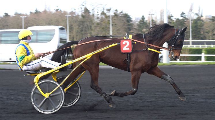 ​Bahia Quesnot inbjuden till Elitloppet