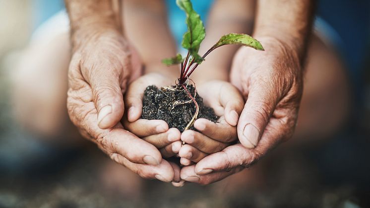 Klimabilanz 2021 erstellt: Gothaer ist auch in Hamburg, Stuttgart, Frankfurt, München und Nürnberg klimaneutral 