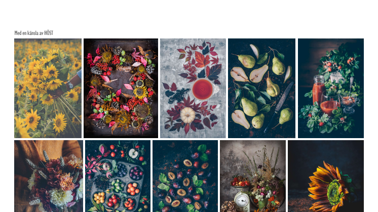 Fotokollage årstidsbilder ur boken Blomster & Bakverk