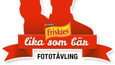 Nestlé Purina söker hundar och katter som är lika sina ägare