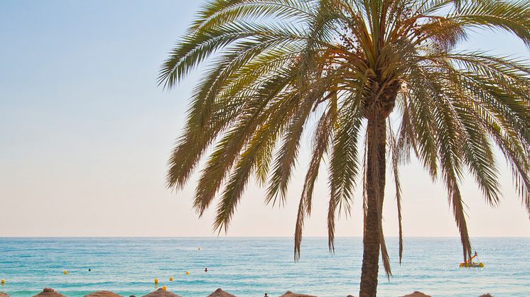 ALC_spain-marbella-beach