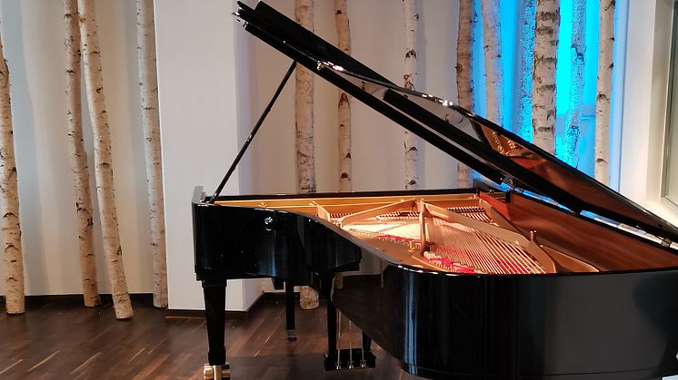 Refurbished concert grand piano of the Goetheanum, Klangmanufaktur, Hamburg, Germany (Photo: Hartwig Joerges)