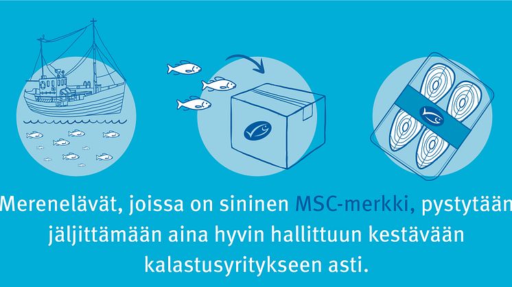 MSC-merkityt merenelävät pystytään aina jäljittämään merestä lautaselle. 