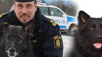 Izor och Puck blev Årets polishund(ar)
