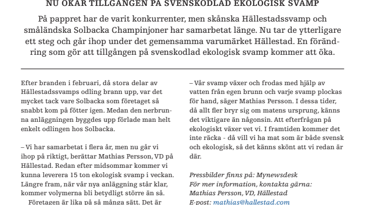 Nu ökar tillgången på svenskodlad ekologisk svamp