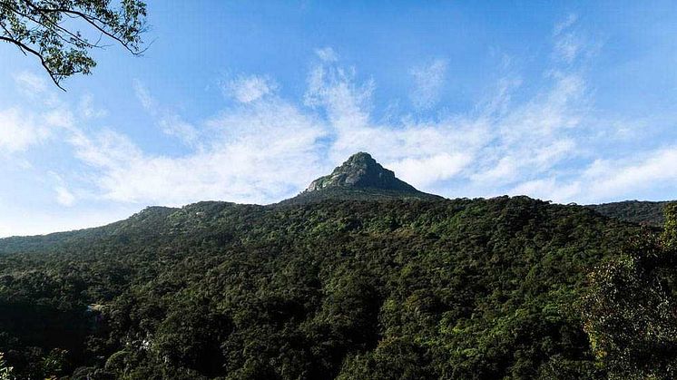 Adam's Peak