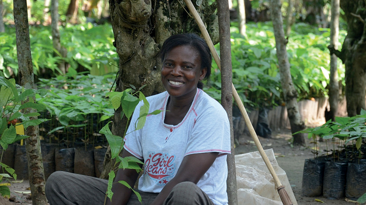 Mondelēz International ogłasza pierwszy raport Cocoa Life - programu  zrównoważonej uprawy ziaren kakaowca.