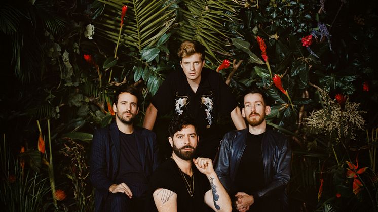 Foals