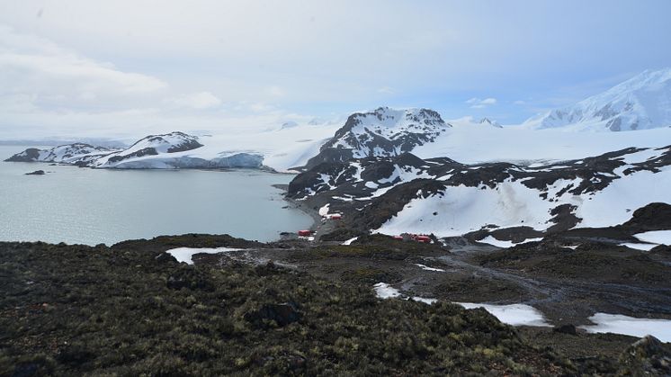 Översikt över Livingston Island där lavarna till denna studie samlades in. Foto: Claudia Colesie