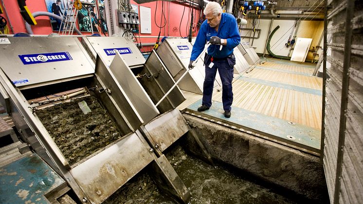 Varannan stockholmare slänger skräp i avloppet