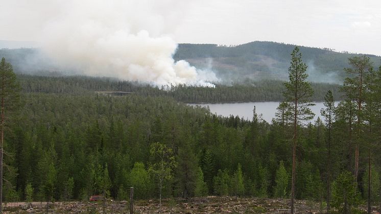 Var extra försiktig utomhus med allt som kan orsaka en brand. Under de extremt torra förhållanden som råder på många håll just nu så kan det räcka med en gnista. Foto: Leif Helldal, Länsstyrelsen i Dalarnas län 