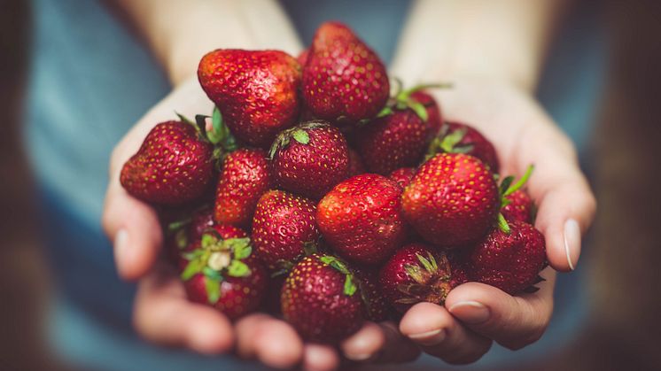 Jordbær har kort holdbarhet, men det finnes livreddende tiltak som gjør at de varer lenger, ifølge Opplysningskontoret for frukt og grønt. Foto: Pexels, Pixabay