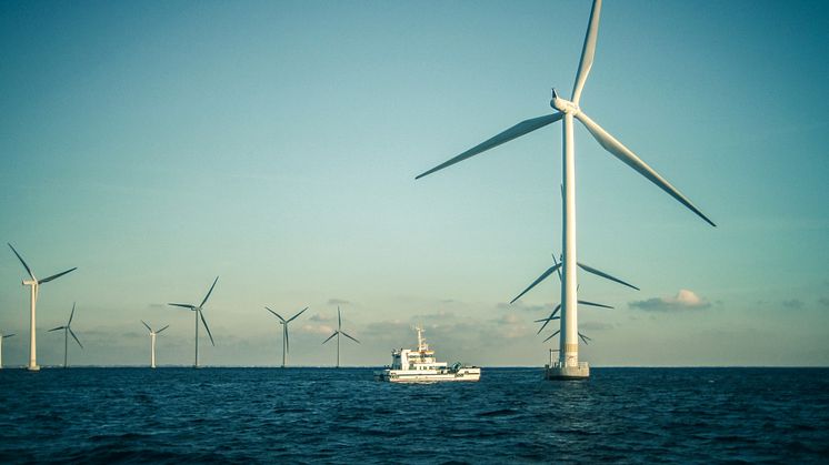 När Lillgrunds vindkraftspark togs i drift i december 2007 var det världens tredje största vindkraftspark. De 48 vindkraftverken har en effekt på 2,3 MW vardera. Foto: Ingvar Lagenfelt/HaV