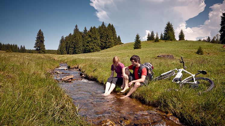 Sommerzeit im Erzgebirge 