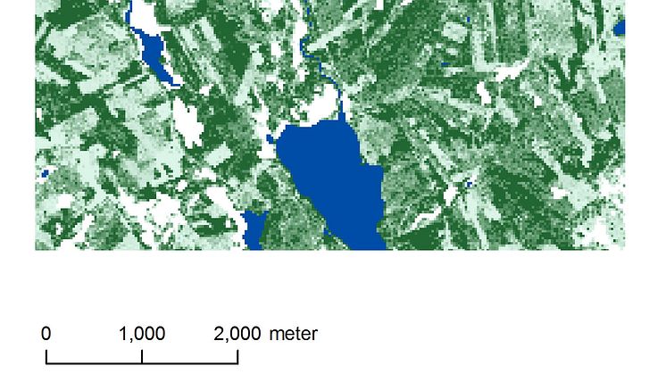 Utsnitt ur ny digital skogskarta från SLU