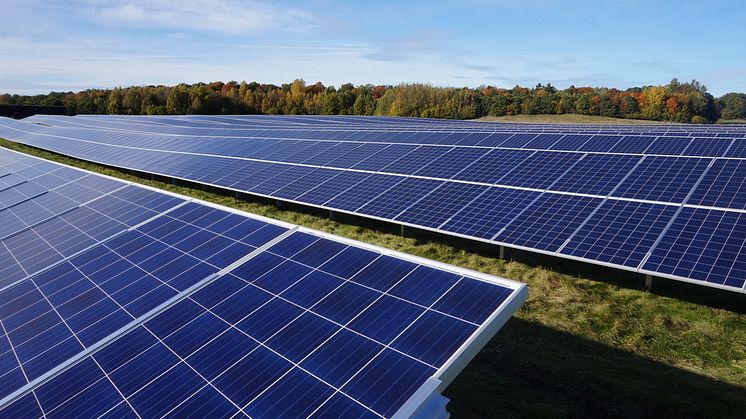 Lokal aktör investerar stort i Törneby Solpark