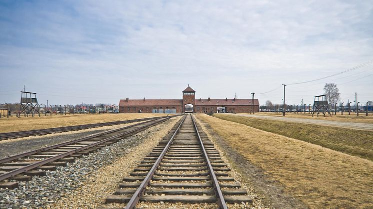 Förintelselägret Auschwitz-Birkenau som befriades den 27 januari 1945. Foto: Colourbox