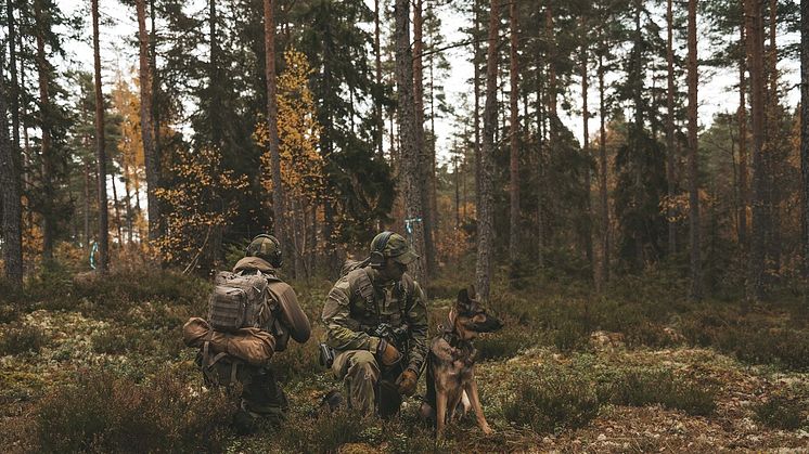 Foto: Kristoffer Olofsson/Försvarsmakten