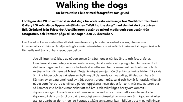 Walking the dogs - En betraktelse i bilder med fotografiet som grund