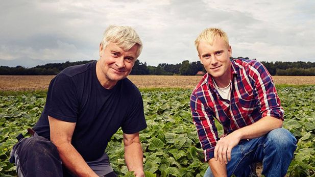 Hettan får svenska gurkor att växa i rekordfart