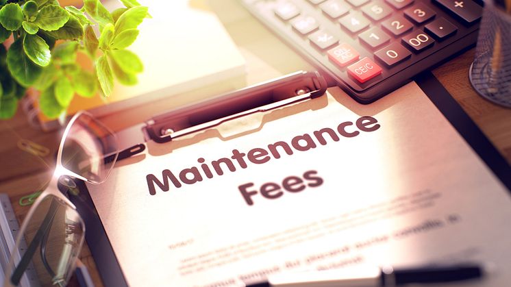 maintenance fees