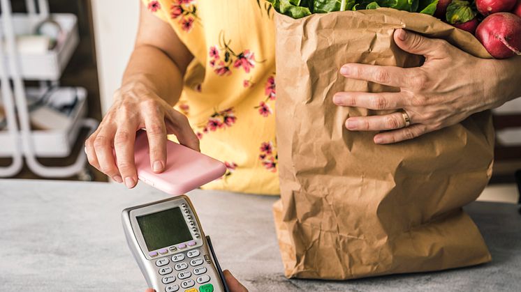 VisaB2B_Payments_Phone_Grocery_Bag