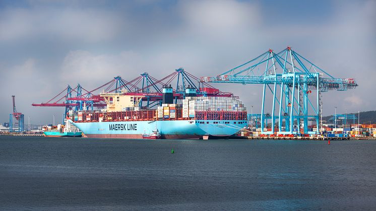 Ny bemanningspool för APM Terminals