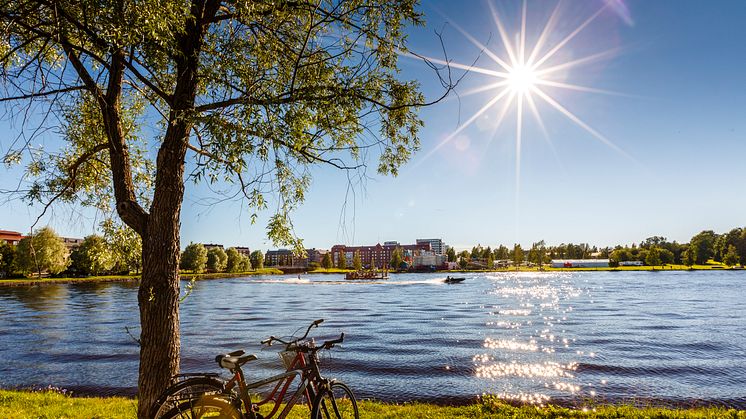 Generell solig sommarbild från Boden. Foto: Mats Engfors/Fotographic