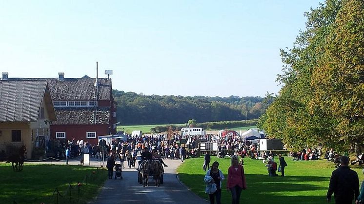 Besöksrekord på Tjolöholms skördefest