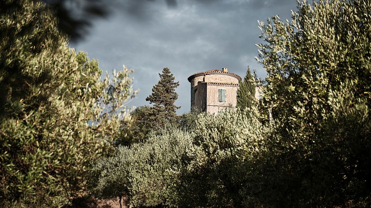 The Wineagency ny importör för Château Pech-Latt och Maison Louis Max 