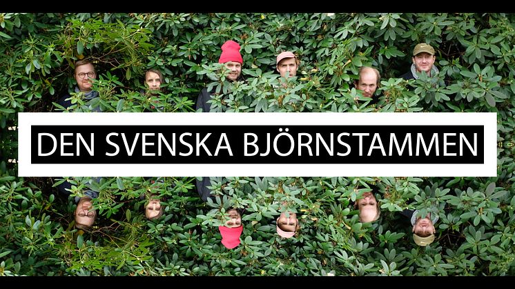 DEN SVENSKA BJÖRNSTAMMEN SPELAR I SOMMAR PÅ MOSEBACKETERASSEN I STOCKHOLM 