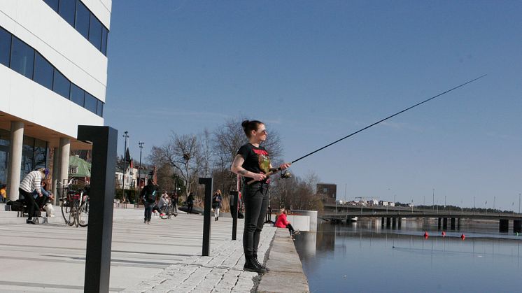 Umeå är årets fritidsfiskekommun 2015