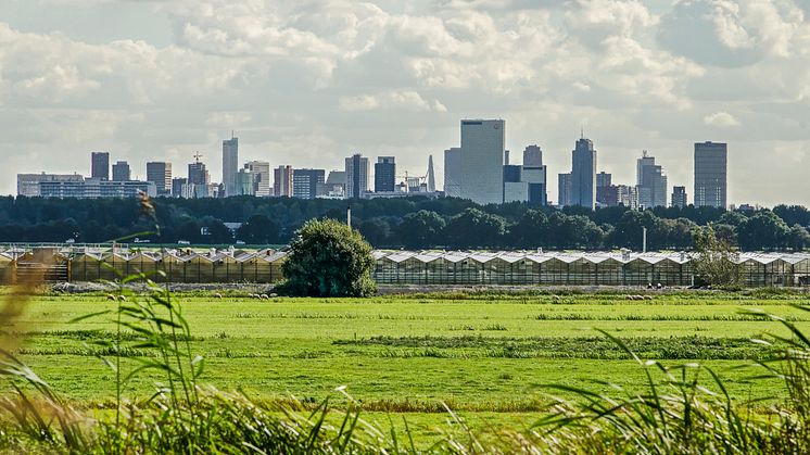 Att städer drar till sig talang ökar klyftan mellan stad och landsbygd. Foto: iStock