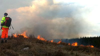 Eld ger nytt liv – naturvårdsbränning 13 mars på Örby ängar 