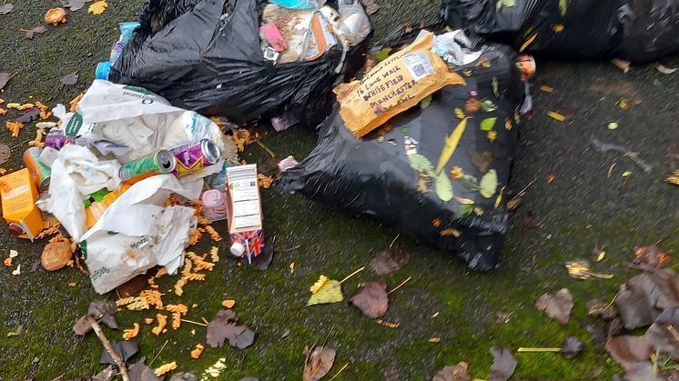 Waste dumped at Haworth Walk, Radcliffe.