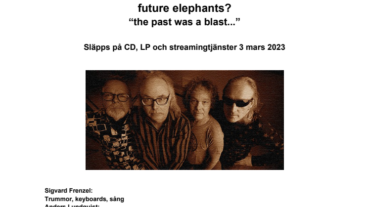 Future Elephants Promotion Sheet svenska.pdf