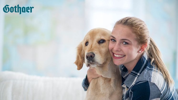 Ein Hund zählt für die meisten Tierhalter als Familienmitglied – deshalb soll er auch die beste Krankenversorgung erhalten, wenn es ihm einmal schlecht geht.