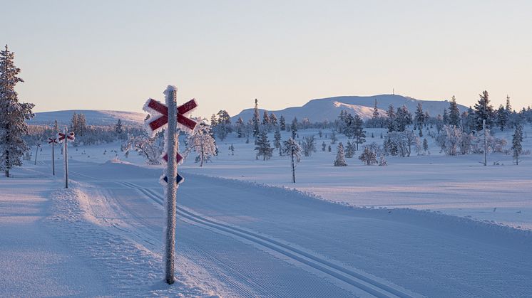 Lofsdalen vinter_Emma Edejern_02