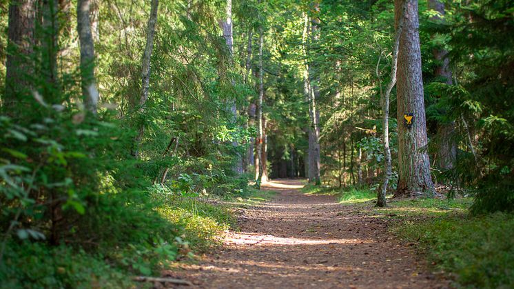 Kronoskogen, Ängelholm