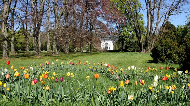 Blick vom Kinderhospiz Bärenherz in den Kees'schen Park