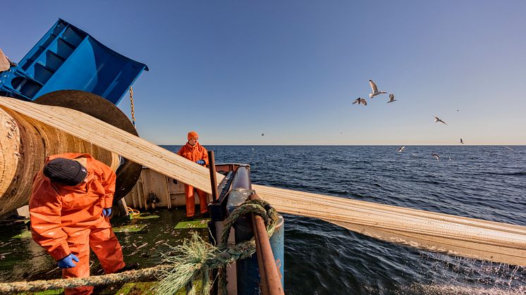 Framsteg för hållbart fiske – men mer krävs för att klara havens utmaningar 