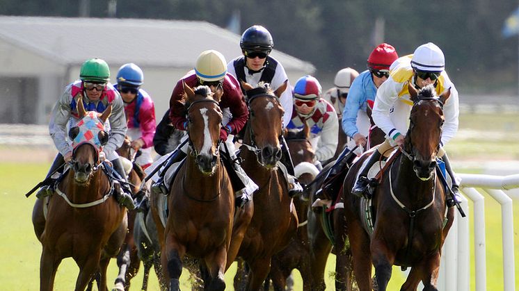 Händelserik helg på Täby Galopp 