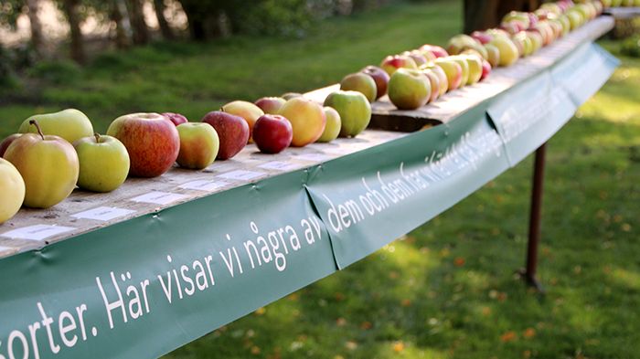 Aktiviteter för hela familjen under Öppet Hus på Solnäs Gård